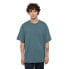 DICKIES Clancy Heavyweight short sleeve T-shirt