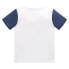 ფოტო #2 პროდუქტის TOM TAILOR 1031856 Colorblock short sleeve T-shirt