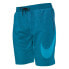 Фото #1 товара Плавательные шорты Nike Swim Nessd541 9 Volley