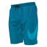 Фото #1 товара NIKE SWIM Nessd541 9 Volley Swimming Shorts