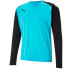 Фото #1 товара Футболка вратарская PUMA teamPACER GK LS M 704933 40