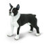 Фото #1 товара Игровая фигурка Safari Ltd Boston Terrier Figure Wild Safari Pets (Дикие Сафари. Питомцы)