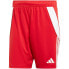 Фото #6 товара Adidas Tiro 24 M shorts IR9379