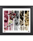 Фото #1 товара Jameis Winston Florida State Seminoles Framed 15'' x 17'' Player Panel Collage