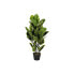 Decorative Plant DKD Home Decor Polyethylene Urban 40 x 40 x 90 cm