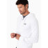 EA7 EMPORIO ARMANI 8NPM03_PJ05Z sweatshirt