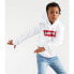 LEVI´S ® KIDS Batwing Screenprint hoodie