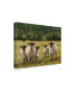 Ethan Harper Sheep Family I Canvas Art - 20" x 25"