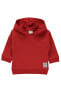 Erkek Bebek Kapüşonlu Sweatshirt 6-18 Ay Kırmızı