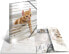 Herma Teczka A4 Glossy Katze