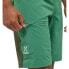 Фото #7 товара HAGLOFS ROC Lite Standard shorts
