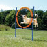 Фото #1 товара Аксессуары для амуниции и дрессировки собак TRIXIE Кольцо ловкости 78x115 см