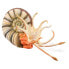 Фото #1 товара COLLECTA Ammonite XL Pleuroceras Figure