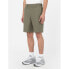 DICKIES Cobden Shorts