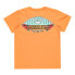 ფოტო #2 პროდუქტის QUIKSILVER Tropical short sleeve T-shirt