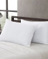 2-Pack Pillow, Standard (A $50.00 Value)