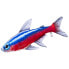 GABY The Neon Tetra Pillow