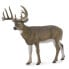 COLLECTA Cola Deer Figure