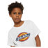 Фото #6 товара DICKIES Youth Logo short sleeve T-shirt