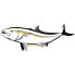 HOTSPOT DESIGN Amberjack Sticker