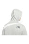 Фото #5 товара Толстовка Nike Sportswear Swoosh Semi-Brushed Back Pullover Hoodie Erkek Sweatshirt DH1027-063
