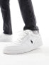 Polo Ralph Lauren Court trainer in white with black logo Weiß/schwarzes Polospieler-Logo, 40 - фото #1