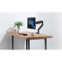 Фото #8 товара InLine Table mount with lift and USB/Audio up to max. 82cm 32" 9kg