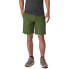 Фото #2 товара COLUMBIA Flex Roc™ Extended Shorts