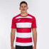 Фото #4 товара JOMA Pro Rugby II short sleeve T-shirt