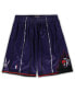 Фото #2 товара Men's Mitchell Ness Purple Toronto Raptors Big Tall Hardwood Classics Team Swingman Shorts