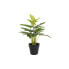 Фото #1 товара Декоративное растение DKD Home Decor PVC полипропилен 25 x 25 x 30 cm