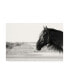 Фото #1 товара Aledanda Pretty Girl Horse Canvas Art - 20" x 25"