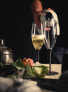 Champagnergläser schiefer Kaya 2er Set