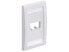 Фото #4 товара Panduit Wall Plate,Single Gang,2 Ports,Ivory CFPE2EIY