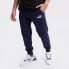 [586714-06] Mens Puma Essential Logo Pants Fleece