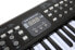 Фото #4 товара AXMAN LP5450 Keyboard incl. Microphone and power supply connector, 54 buttons, battery operated 6 x AA (power supply and batteries not included)