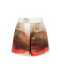 Фото #2 товара Women's Printed High Waisted Shorts