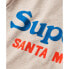 Фото #5 товара SUPERDRY Venue Duo Logo short sleeve T-shirt