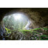 Фото #1 товара Fototapete Höhle im Wald