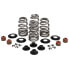 KIBBLEWHITE 20-21400 Valve Springs&Washers