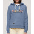 Фото #3 товара SUPERDRY Rainbow Logo Graphic hoodie