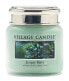 Scented candle Juniper Berry (Juniper Berry) 92 g