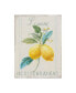 Фото #1 товара Danhui Nai Floursack Lemon III Canvas Art - 20" x 25"