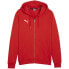 Puma Team Goal Casuals Hooded M 658595 01 sweatshirt