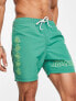 Фото #1 товара Santa Cruz mono splat swimshort in green with placement prints