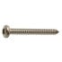 Фото #1 товара EUROMARINE A4 DIN 7981 5.5x16 mm Sheet Screw