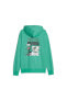 Classıcs Super Puma Graphic Hoodie Tr Erkek Sweatshirt