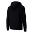 Puma Teamgoal 23 Causals Hoody