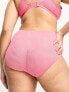 Фото #5 товара Ivory Rose Curve sheer heart mesh high waist brief in pink