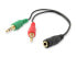 Фото #3 товара Equip Audio Split Cable - Black - 3.5 mm - 2 x 3.5 mm - Female - Male - Polyvinyl chloride (PVC)